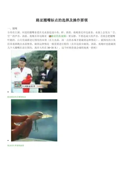 路亚翘嘴标点的选择及操作要领