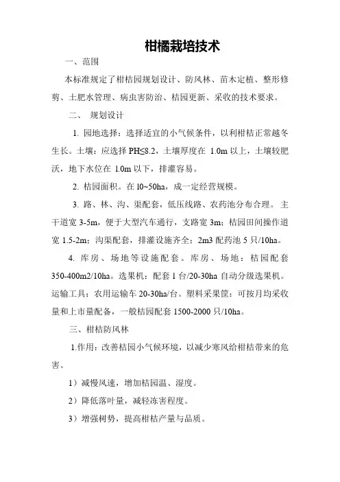 柑橘种植
