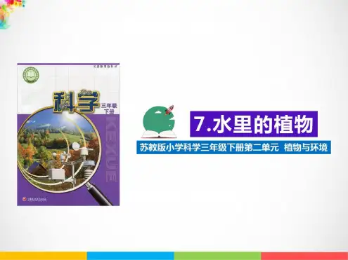 2020新苏教版三年级下册《科学》7.水里的植物ppt课件