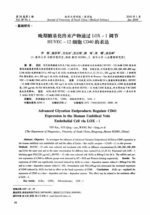 晚期糖基化终末产物通过LOX-1调节HUVEC-12细胞CD40的表达