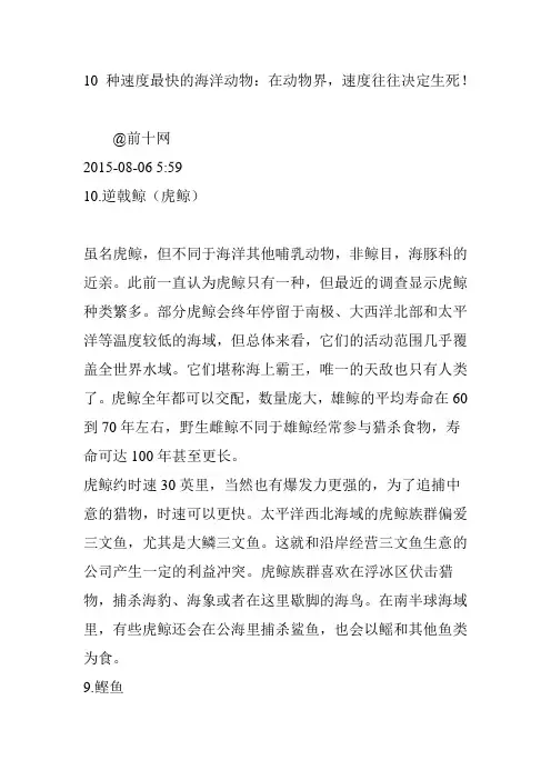 10 种速度最快的海洋动物：在动物界,速度往往决定生死!