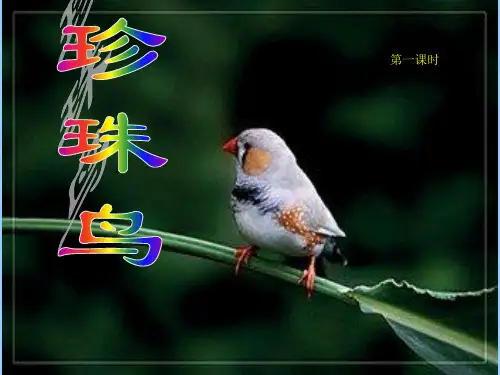 苏教版四年级语文上册第21课 珍珠鸟