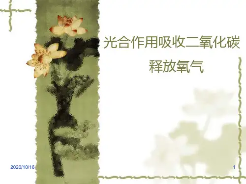 光合作用吸收二氧化碳释放氧气PPT教学课件