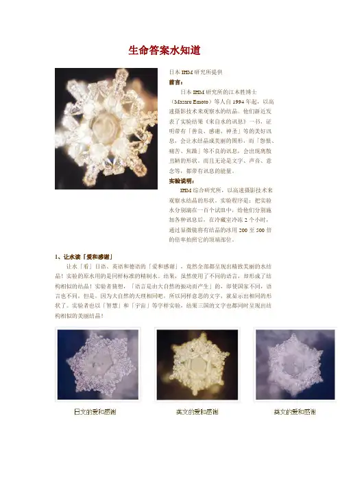 生命的答案水知道