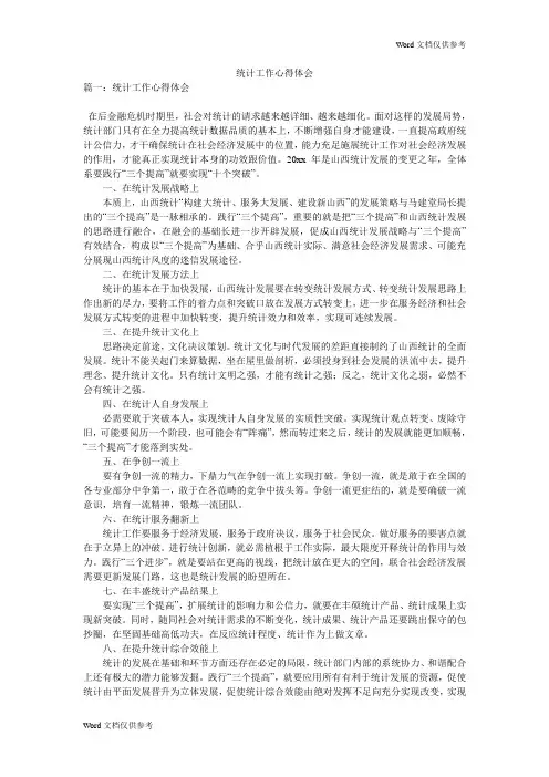 统计工作心得体会