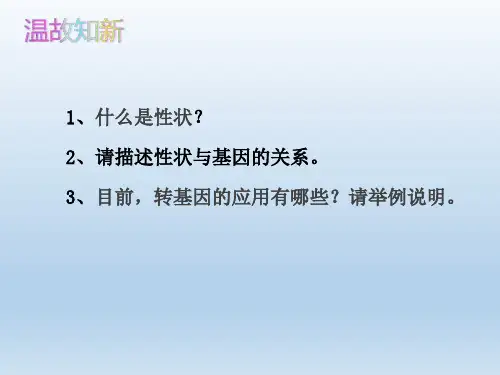 人教版八年级生物 下册 7. 2.2 基因在亲子代间的传递 课件