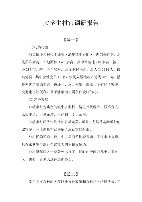 大学生村官调研报告