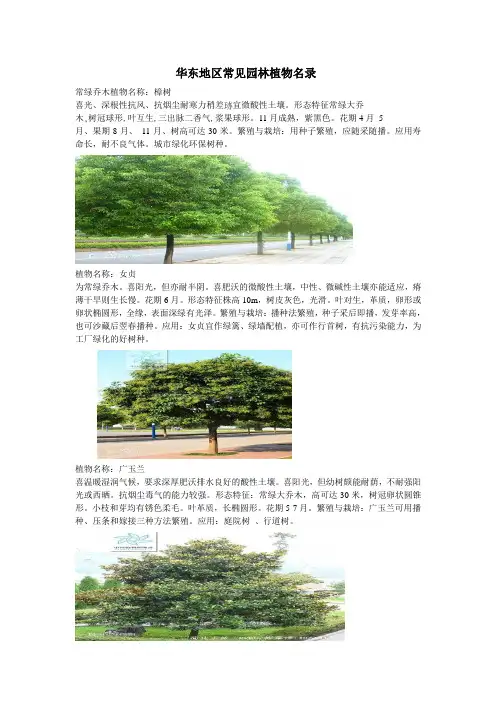 华东地区常见园林植物名录