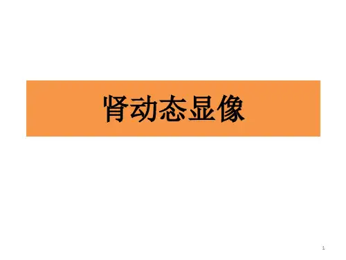 肾动态显像ppt课件