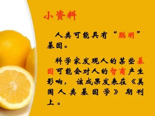 基因在染色体上