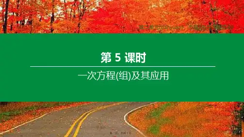 中考数学复习第二单元方程组与不等式组第05课时一次方程组及其应用_2