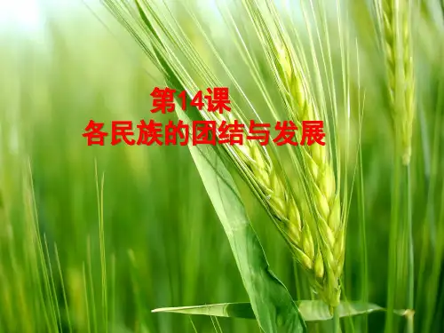 新北师大版八年级历史下册第14课 各民族的团结与发展