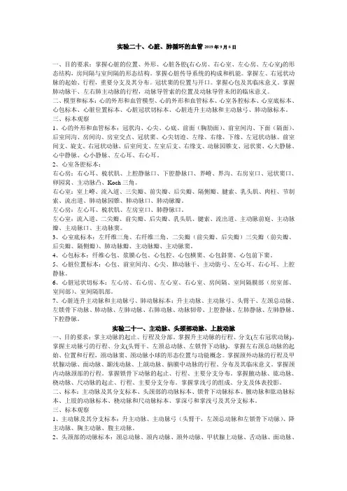解剖学实验指导-脉管系统
