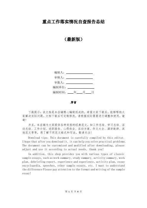 重点工作落实情况自查报告总结