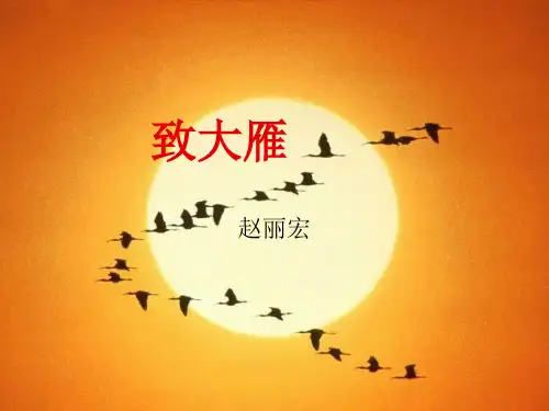 致大雁