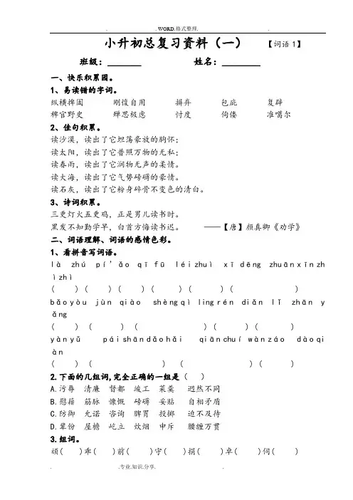 小升初语文总复习资料全