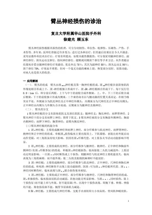 臂丛神经损伤的诊治