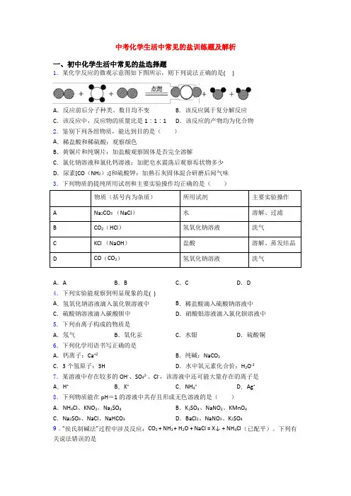 中考化学生活中常见的盐训练题及解析