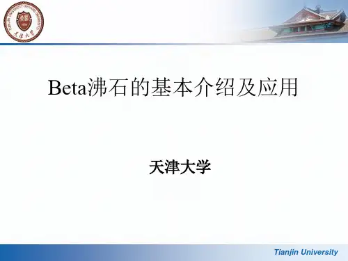 Beta沸石简介-终