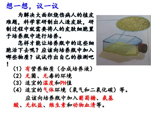 七年级上册生物细胞的生活