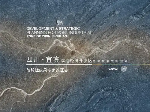 048 四川宜宾临港经济开发区总体发展战略规划