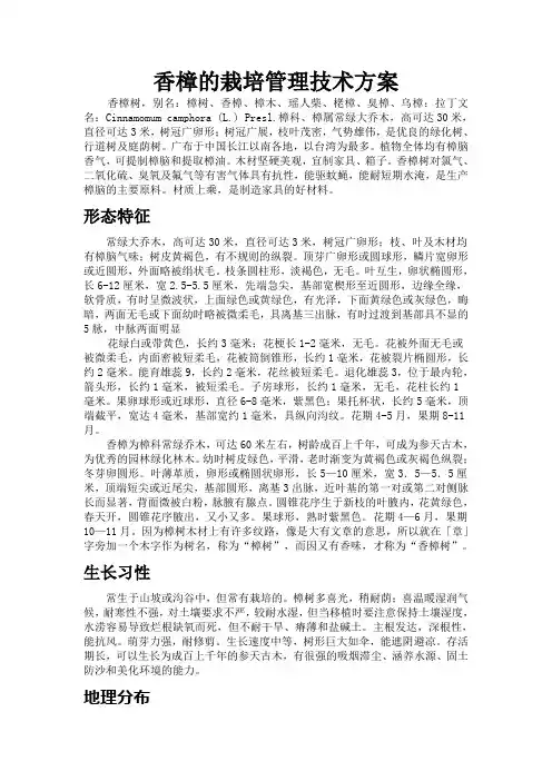 香樟的栽培管理技术方案