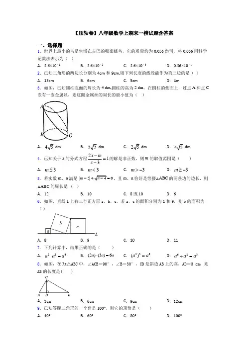 【压轴卷】八年级数学上期末一模试题含答案