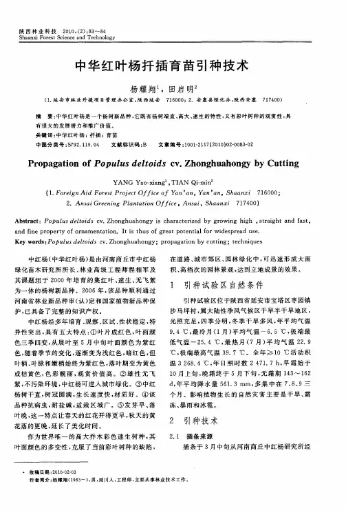 中华红叶杨扦插育苗引种技术