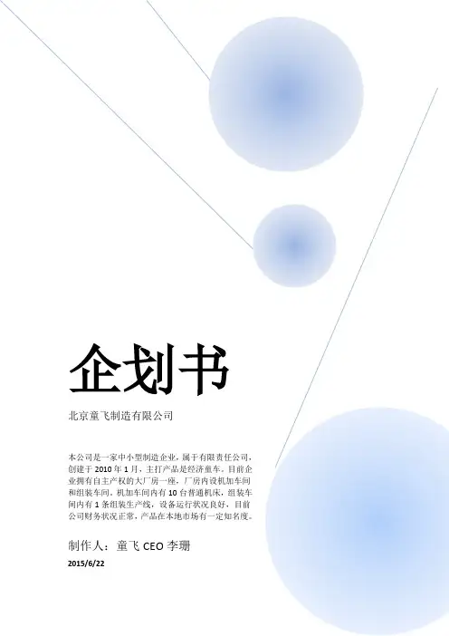 企划书最终版