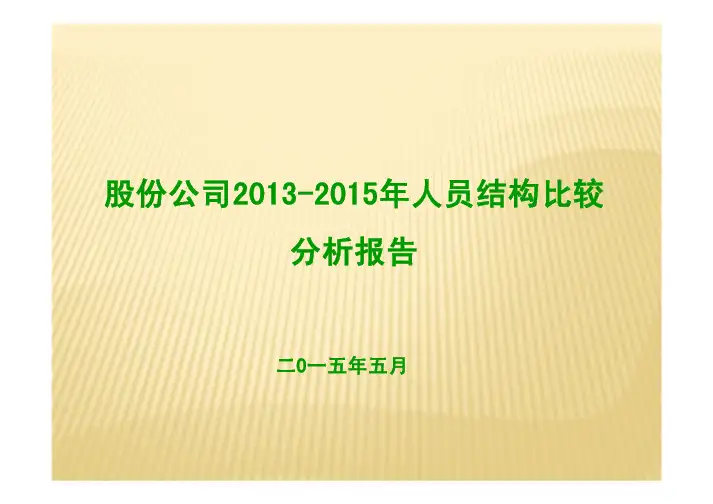 人员结构比较分析报告