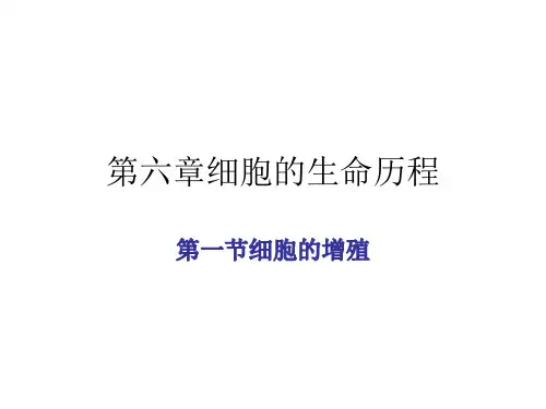 高三一轮复习生物必修一第六章第一节细胞的增殖课件