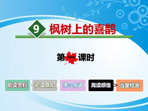 《枫树上的喜鹊》PPT课件(第一课时)