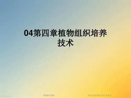 第四章植物组织培养技术