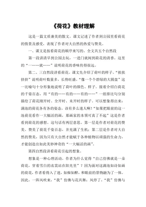 《荷花》教材理解_1