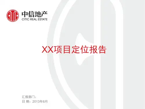 项目定位报告