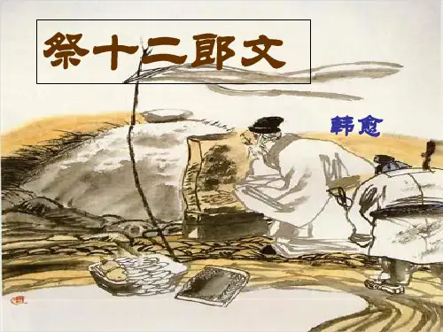 《祭十二郎文》