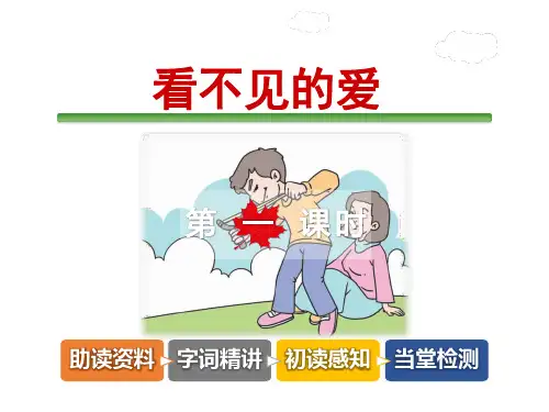 看不见的爱PPT课件