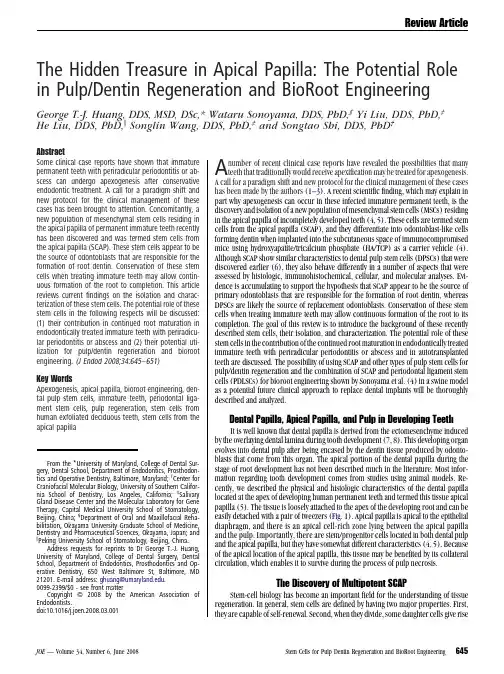 The Hidden Treasure in Apical Papilla_ The Potential Role