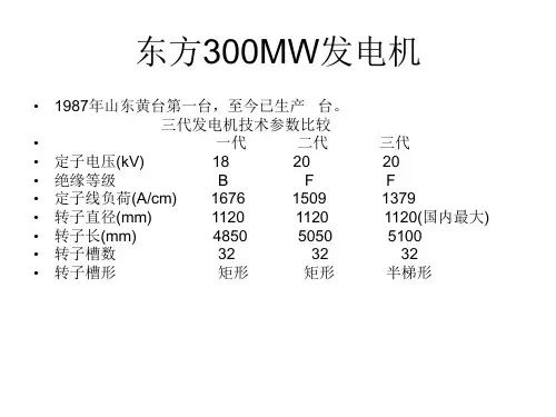 东方300MW和600MW发电机介绍