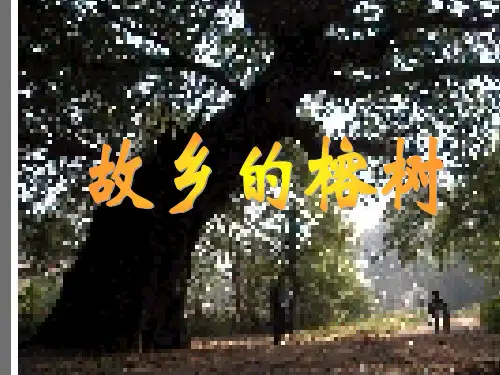 故乡的榕树