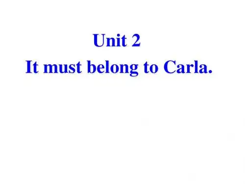 九年级英语it-must-belong-to-carla课件(1)