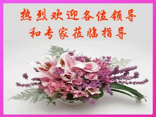 原子的核式结构模型-精简版