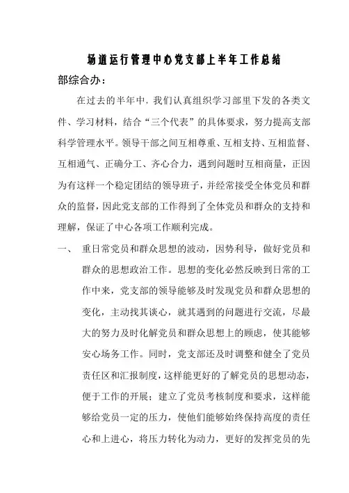 中心党支部工作总结