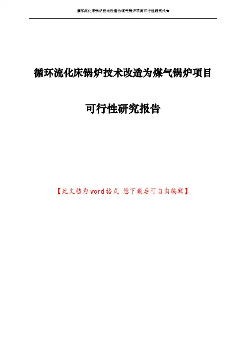 循环流化床锅炉技术改造为煤气锅炉项目可行性研究报告