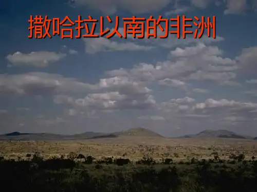 高中世界地理撒哈拉以南的非洲PPT课件