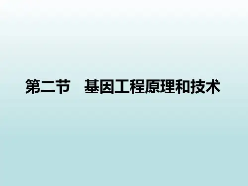 高中生物PPT课件基因工程原理及技术(1)