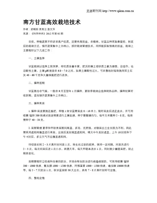 南方甘蓝高效栽培技术