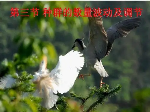 第三节_种群的数量波动及调节