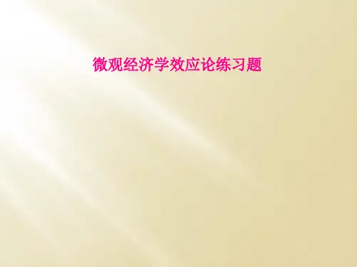 微观经济学效应论练习题