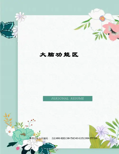 大脑功能区